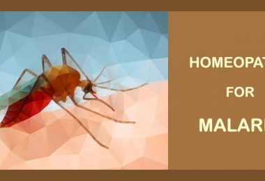 malaria homeopathy