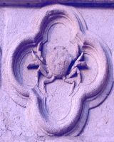 cancer-crab.jpg