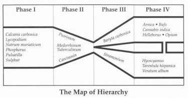 Map of Hierarchy