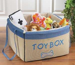 toy box homeopathy for children