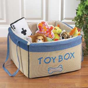 toy box homeopathy for children