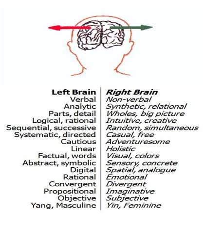 left-brain-right-brain