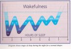 wakefullness