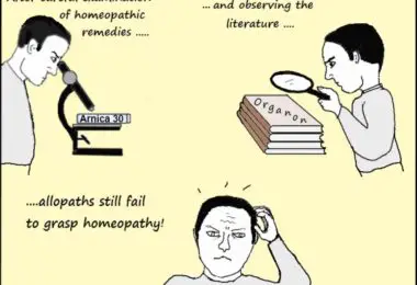 schmukler march examining homeopathy