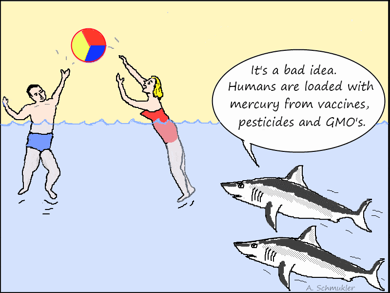 Shark dont eat humans