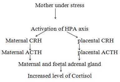 The Scope of Homoeopathy in Maternal Stress jan2016