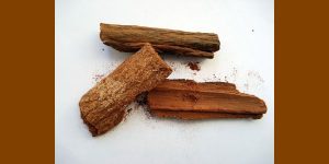cinchona bark homeopathy quinine for malaria treatment