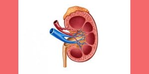 kidney cancer symptoms and treatment