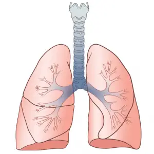homeopathy treatment of bronchitis