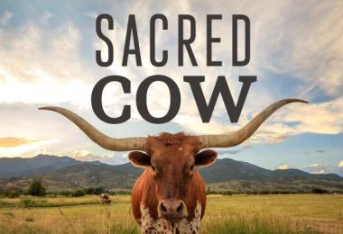 The Sacred Cows of Homeopathy