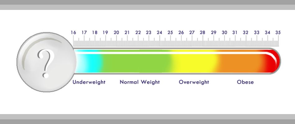BMI chart for adult men and women