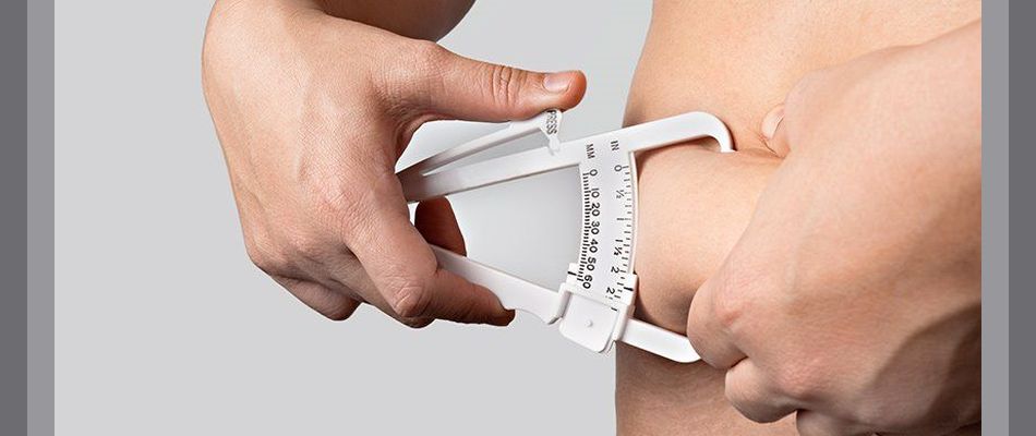 Body fat percentage calculator lets you calculate your fat percentage to help in your weight loss journey